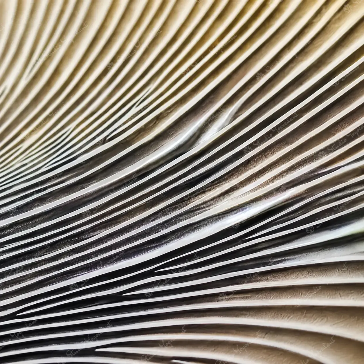 Fan Arc Circular Wall Relief - Image 2